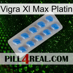 Vigra Xl Max Platinum 22